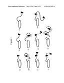 Engineered Nucleases and Their Uses for Nucleic Acid Assembly diagram and image