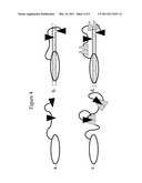 Engineered Nucleases and Their Uses for Nucleic Acid Assembly diagram and image