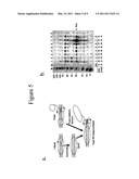 Engineered Nucleases and Their Uses for Nucleic Acid Assembly diagram and image