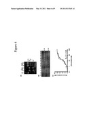 Engineered Nucleases and Their Uses for Nucleic Acid Assembly diagram and image