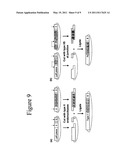 Engineered Nucleases and Their Uses for Nucleic Acid Assembly diagram and image