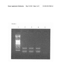 METHOD FOR CONCENTRATING AND ISOLATING BIOMOLECULES OR VIRUSES diagram and image