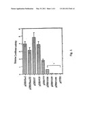 DR5 gene promoter and SIAH-1 gene promoter diagram and image