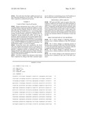 DR5 gene promoter and SIAH-1 gene promoter diagram and image