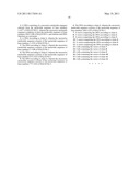 DR5 gene promoter and SIAH-1 gene promoter diagram and image