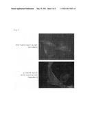 METHOD FOR PRODUCTION OF PLURIPOTENT STEM CELL diagram and image