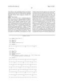 Phage Display Using Cotranslational Translocation of Fusion Polypeptides diagram and image