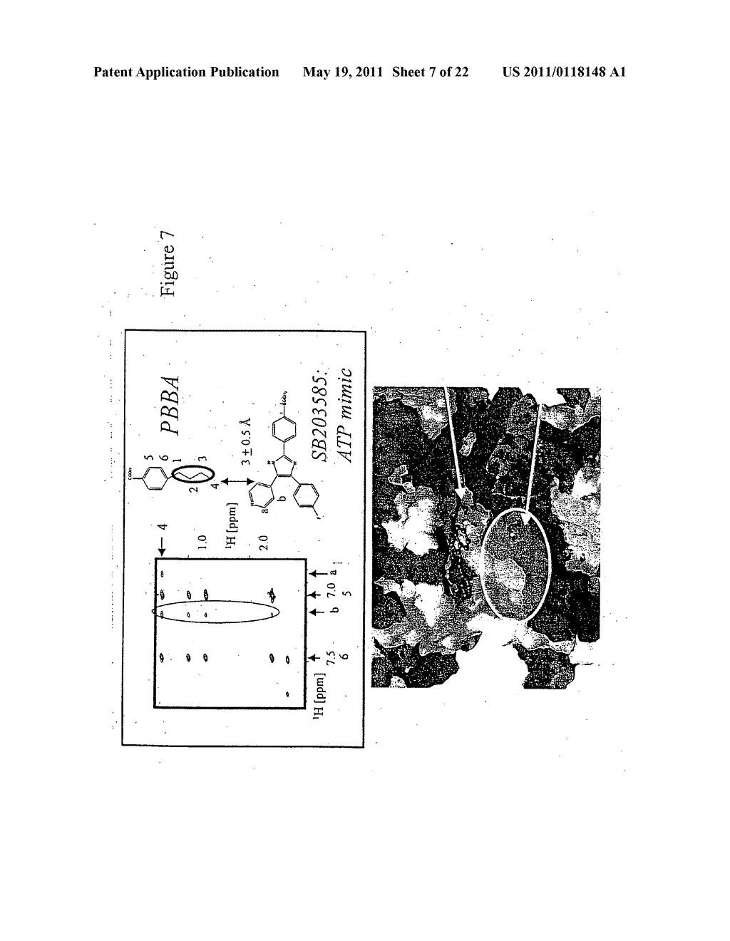 NUCLEAR MAGNETIC RESONANCE ASSEMBLY OF CHEMICAL ENTITIES USING ADVANCED ANTENNA PROBES - diagram, schematic, and image 08