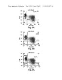 COMPETITIVE INHIBITORS OF INVARIANT CHAIN EXPRESSION AND/OR ECTOPIC CLIP BINDING diagram and image