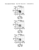 COMPETITIVE INHIBITORS OF INVARIANT CHAIN EXPRESSION AND/OR ECTOPIC CLIP BINDING diagram and image