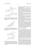 USE OF STEROID SULFATASE INHIBITORS FOR THE TREATMENT OF PRETERM LABOR diagram and image