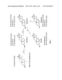 Enzymatic production or chemical synthesis and uses for 5,7-dienes and UVB conversion products thereof diagram and image