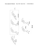 Enzymatic production or chemical synthesis and uses for 5,7-dienes and UVB conversion products thereof diagram and image