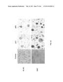 Enzymatic production or chemical synthesis and uses for 5,7-dienes and UVB conversion products thereof diagram and image