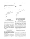 Pyrrolidinyl and Piperidinyl Compounds Useful as NHE-1 Inhibitiors diagram and image