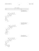 Pyrrolidinyl and Piperidinyl Compounds Useful as NHE-1 Inhibitiors diagram and image