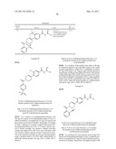 Pyrrolidinyl and Piperidinyl Compounds Useful as NHE-1 Inhibitiors diagram and image