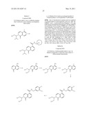 Bicycloheteroaryl Compounds As P2X7 Modulators and Uses Thereof diagram and image