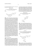 Androgen Receptor Modulator and Uses Thereof diagram and image