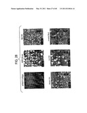 Catalyst Composition Comprising Shuttling Agent for Ethylene Multi-Block Copolymer Formation diagram and image