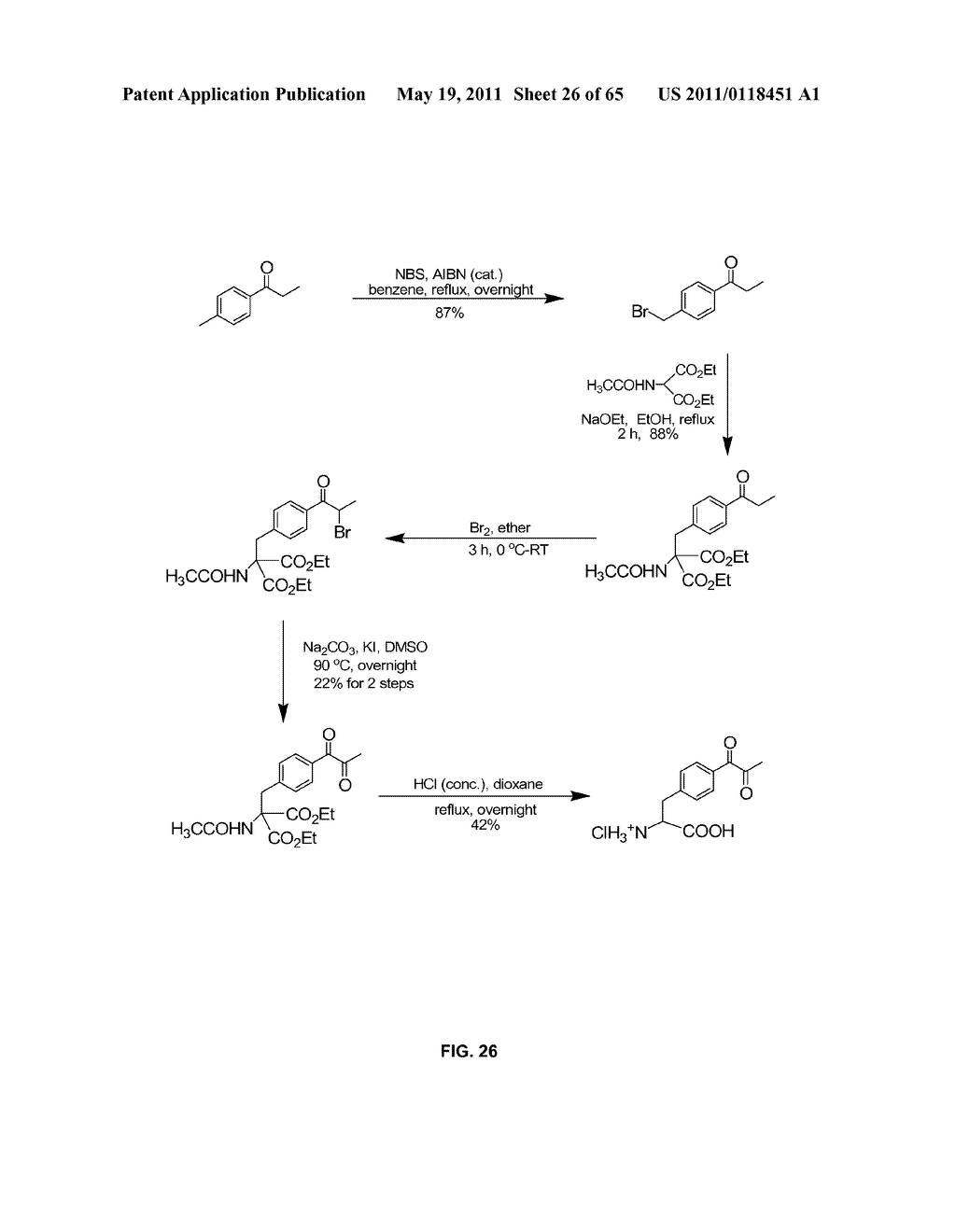 COMPOSITIONS CONTAINING, METHODS INVOLVING, AND USES OF NON-NATURAL AMINO ACIDS AND POLYPEPTIDES - diagram, schematic, and image 27