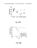 Methods and Nutritional Formulations to Increase the Efficacy and Reduce the Side Effects of Cancer Treatment diagram and image