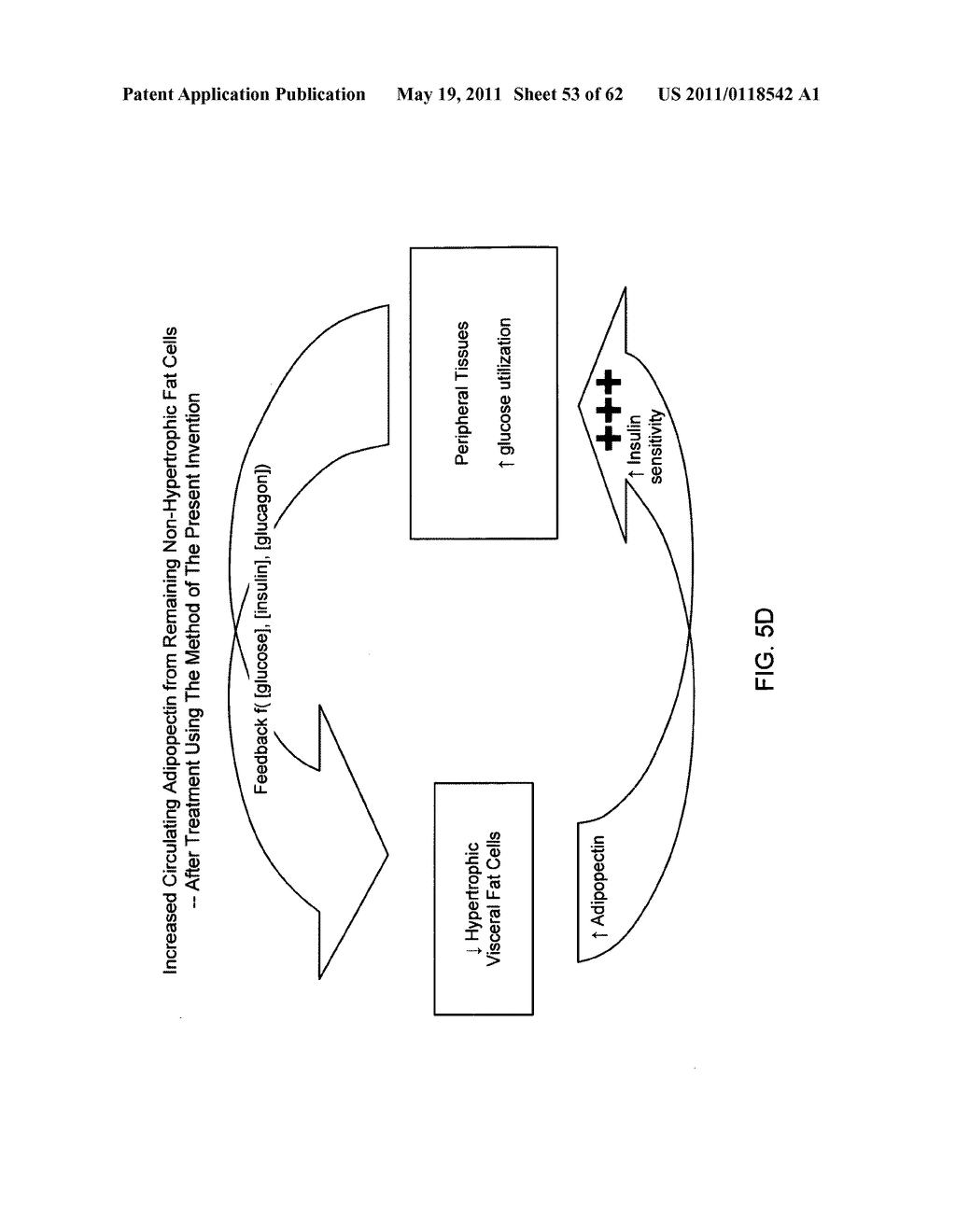 METHOD OF AND APPARATUS FOR TREATING ABDOMINAL OBESITY, METABOLIC SYNDROME AND TYPE II DIABETES MELLITUS IN HUMAN PATIENTS - diagram, schematic, and image 54