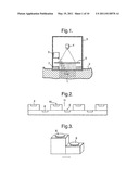 OPTIC SENSOR DEVICE WITH SERS diagram and image