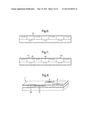 OPTIC SENSOR DEVICE WITH SERS diagram and image