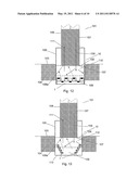 OPTIC SENSOR DEVICE WITH SERS diagram and image