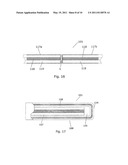 OPTIC SENSOR DEVICE WITH SERS diagram and image