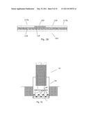 OPTIC SENSOR DEVICE WITH SERS diagram and image