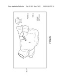 SYSTEM AND METHOD FOR ASSESSING THE FORMATION OF A LESION IN TISSUE diagram and image