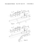 Stent Graft and Introducer Assembly diagram and image