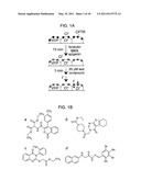 HYDRAZIDE-CONTAINING CFTR INHIBITOR COMPOUNDS AND USES THEREOF diagram and image