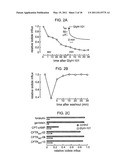 HYDRAZIDE-CONTAINING CFTR INHIBITOR COMPOUNDS AND USES THEREOF diagram and image