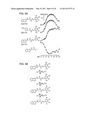 HYDRAZIDE-CONTAINING CFTR INHIBITOR COMPOUNDS AND USES THEREOF diagram and image