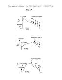 HYDRAZIDE-CONTAINING CFTR INHIBITOR COMPOUNDS AND USES THEREOF diagram and image