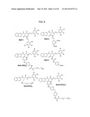 HYDRAZIDE-CONTAINING CFTR INHIBITOR COMPOUNDS AND USES THEREOF diagram and image