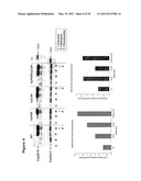 SCREENING FOR NON-GENOTOXIC CARCINOGENS diagram and image