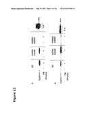 SCREENING FOR NON-GENOTOXIC CARCINOGENS diagram and image