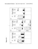 SCREENING FOR NON-GENOTOXIC CARCINOGENS diagram and image