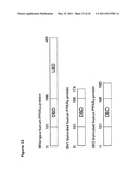 SCREENING FOR NON-GENOTOXIC CARCINOGENS diagram and image