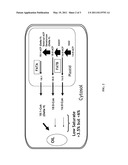 Chimeric promoters and their uses thereof in Plants diagram and image