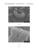 Cement-graphite composite materials for vibration damping diagram and image