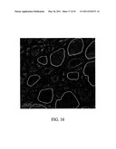 METHOD AND APPARATUS FOR CHEMICAL DEPOSITION diagram and image