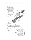 HAIR TREATMENT METHODS AND KITS diagram and image