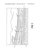 METHOD AND SYSTEM FOR MONITORING THE INCURSION OF PARTICULATE MATERIAL INTO A WELL CASING WITHIN HYDROCARBON BEARING FORMATIONS INCLUDING GAS HYDRATES diagram and image