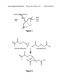 Anti-Biofouling Materials and Methods of Making Same diagram and image