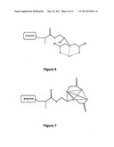 Anti-Biofouling Materials and Methods of Making Same diagram and image